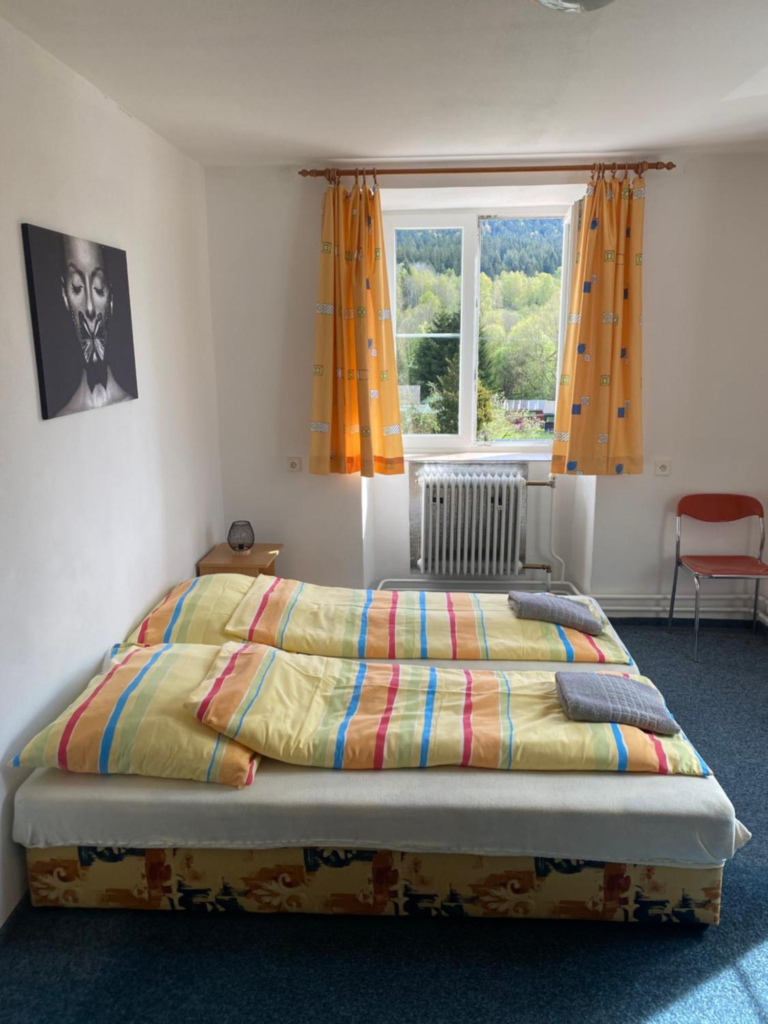 Penzion Tereza Horní Vltavice Exteriér fotografie